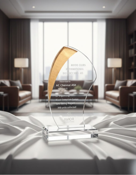 Wonderful Performer Award Trophy