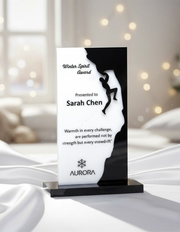 CORPORATE MEMENTOS,AWARDS, TROPHIES